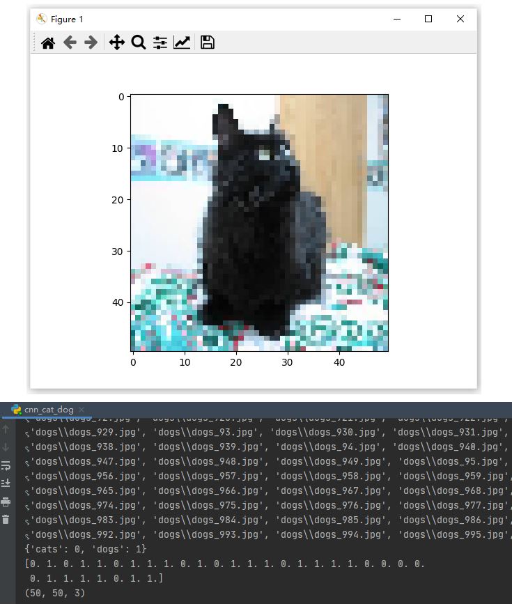 【C130】Python卷积神经网络(CNN)实现猫狗识别
