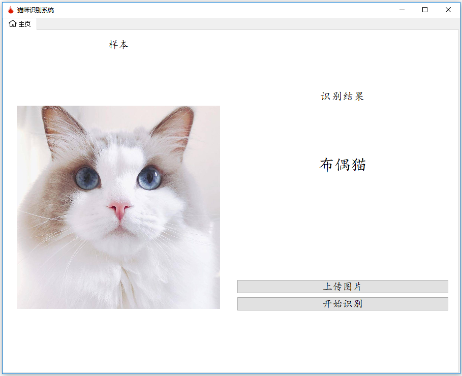 布偶猫.PNG