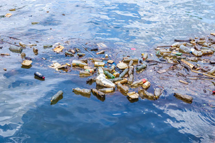 基于YOLO格式的水面漂浮物目标检测数据集